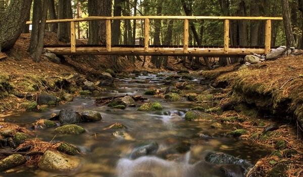 Wooden Bridge 600x350