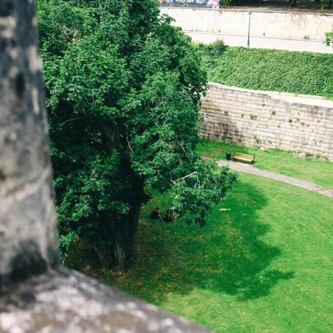 Retaining Walls