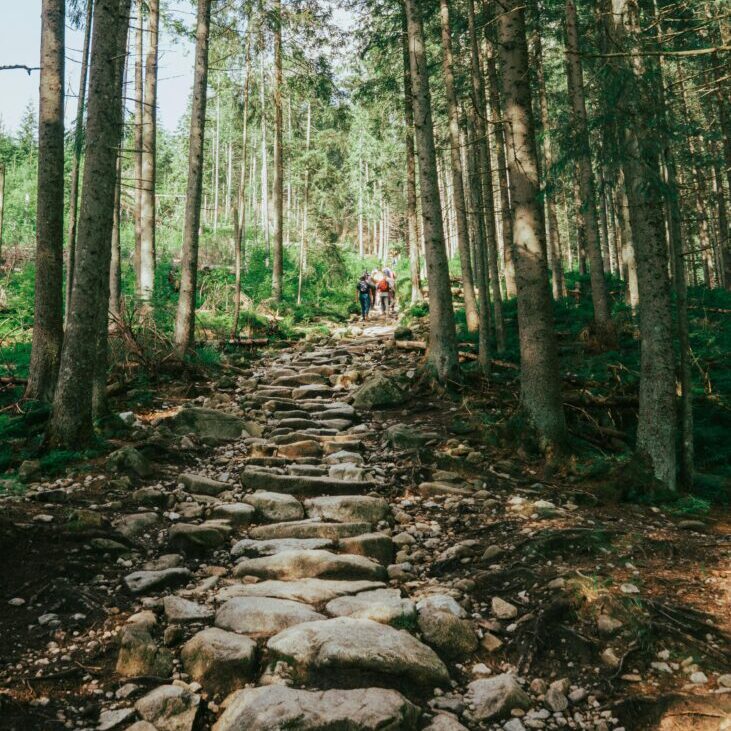 Rock Pathway