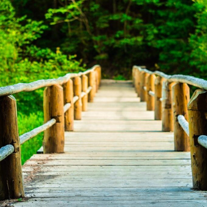 Wood Pathway